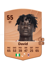 David 55