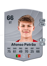 Afonso Patrão 66
