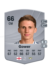Gower 66