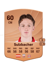Sulzbacher 60