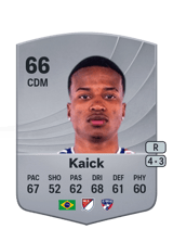 Kaick 66