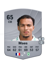 Maes 65