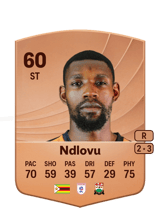 Ndlovu 60