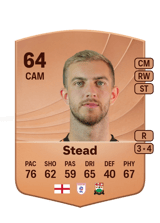 Stead 64