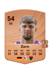 Zorn 54