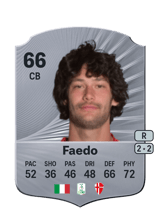Faedo 66