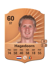 Hagedoorn 60