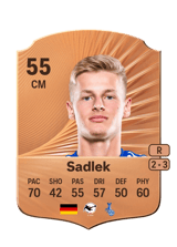 Sadlek 55