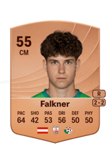 Falkner 55