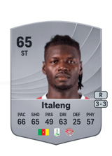 Italeng 65