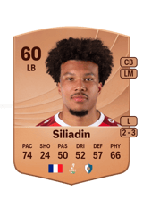 Siliadin 60