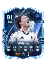 Wilson 91