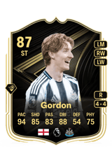 Gordon 87