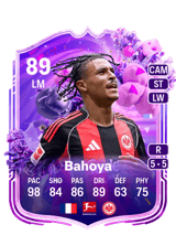 Bahoya 89