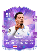 Nwaneri 91