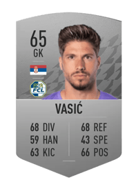 Vaso Vasić Common 65 OVR