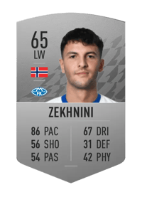 Rafik Zekhnini Common 65 OVR