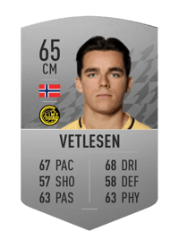 Hugo Vetlesen Common 65 OVR