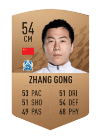 Zhang Gong Common 54 OVR