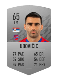 Žarko Udovičić Common 65 OVR