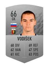 Rok Vodišek Common 66 OVR