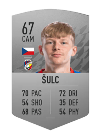 Pavel Šulc Common 67 OVR