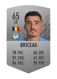 Marius Briceag Common 65 OVR