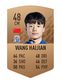 Wang Haijian Common 48 OVR