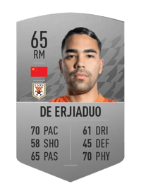 De Erjiaduo Common 65 OVR