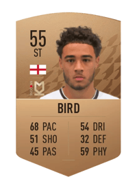 Jay Bird Common 55 OVR