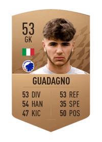 Johan Guadagno Common 53 OVR