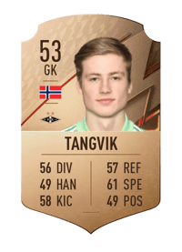 Sander Tangvik Rare 53 OVR