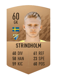 Daniel Strindholm Common 60 OVR