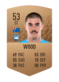 Patrick Wood Common 53 OVR