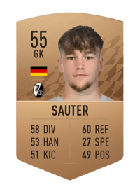Niklas Sauter Common 55 OVR