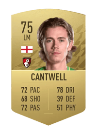 Todd Cantwell Common 75 OVR