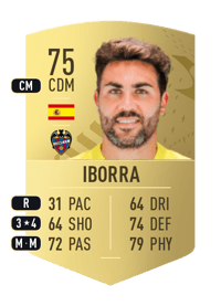 Iborra Common 75 OVR