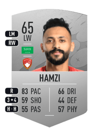Mansour Hamzi Common 65 OVR