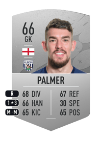 Alex Palmer Common 66 OVR