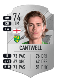 Todd Cantwell Rare 74 OVR