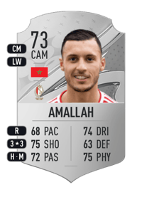 Selim Amallah Rare 73 OVR