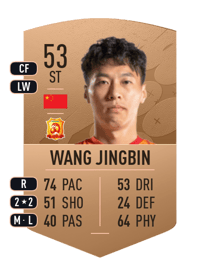 Wang Jingbin Common 53 OVR