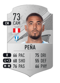 Sergio Peña Rare 73 OVR