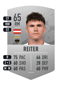 Dominik Reiter Common 65 OVR