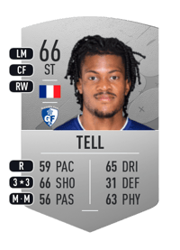 Jordan Tell Common 66 OVR