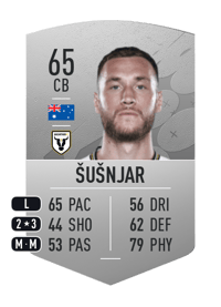 Aleksandar Šušnjar Common 65 OVR