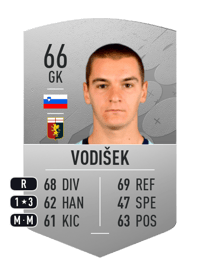 Rok Vodišek Common 66 OVR