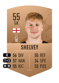 George Shelvey Common 55 OVR