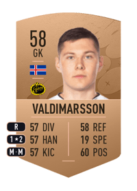 Hakon Valdimarsson Common 58 OVR