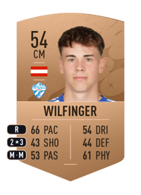 Fabian Wilfinger Common 54 OVR